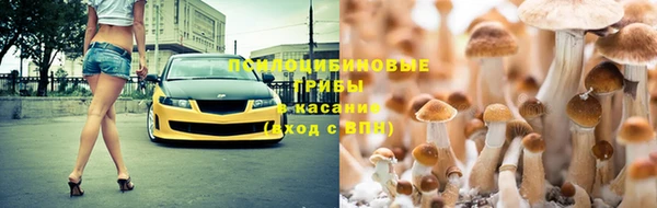 COCAINE Покачи