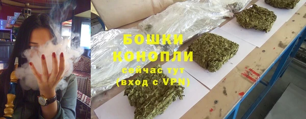 спайс Баксан