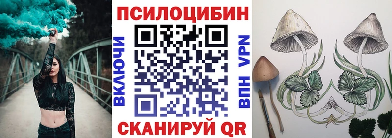 mega сайт  купить наркотики цена  Славск  Галлюциногенные грибы мухоморы 